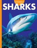 Curious about Sharks - Paperback