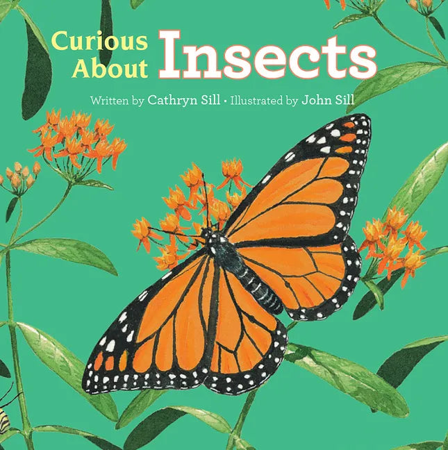 Curious about Insects - Board Book