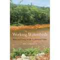 Working Watersheds: Water and Energy in the Lackawanna Valley - Paperback