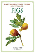 Figs: Rare and Heritage Fruit Cultivars #13 - Paperback