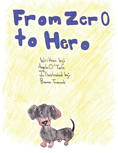 From Zero to Hero - Paperback