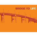 Bridge to Life (Orange) 25-Pack - Paperback