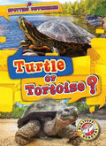 Turtle or Tortoise? - Library Binding