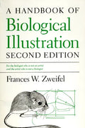 A Handbook of Biological Illustration - Paperback
