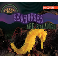 Seahorses Are Strange - Library Binding