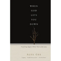 When God Lets You Down: Trusting Again After Pain and Loss - Paperback