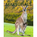 Marsupials: Amazing Pictures & Fun Facts of Animals in Nature - Paperback