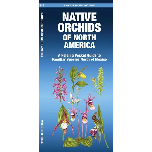 Native Orchids of North America: A Folding Pocket Guide to Familiar Species North of Mexico - Paperback