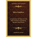 Silva Gadelica: A Collection of Tales in Irish with Extracts Illustrating Persons and Places - Paperback