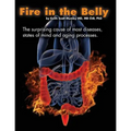 Fire In The Belly: The Surprising Cause of Most Diseases, States Of Mind and Aging Processes - Paperback