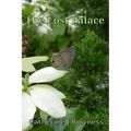 The Lost Palace - Paperback