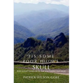 'Tis Some Poor Fellow's Skull: Post-Soviet Warfare in the Southern Caucasus - Paperback