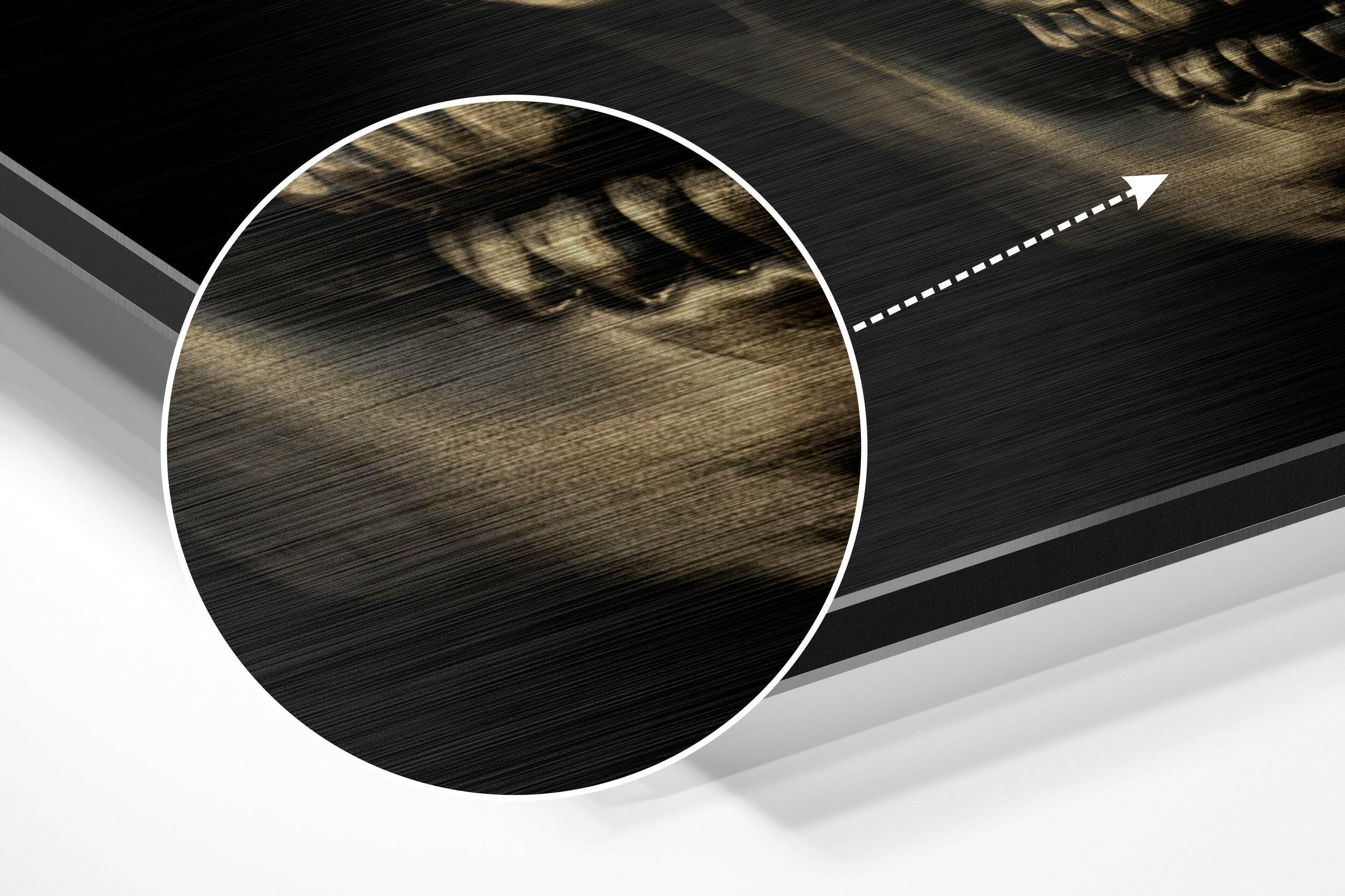 Skull Brushed Aluminium Dibond Wall Art