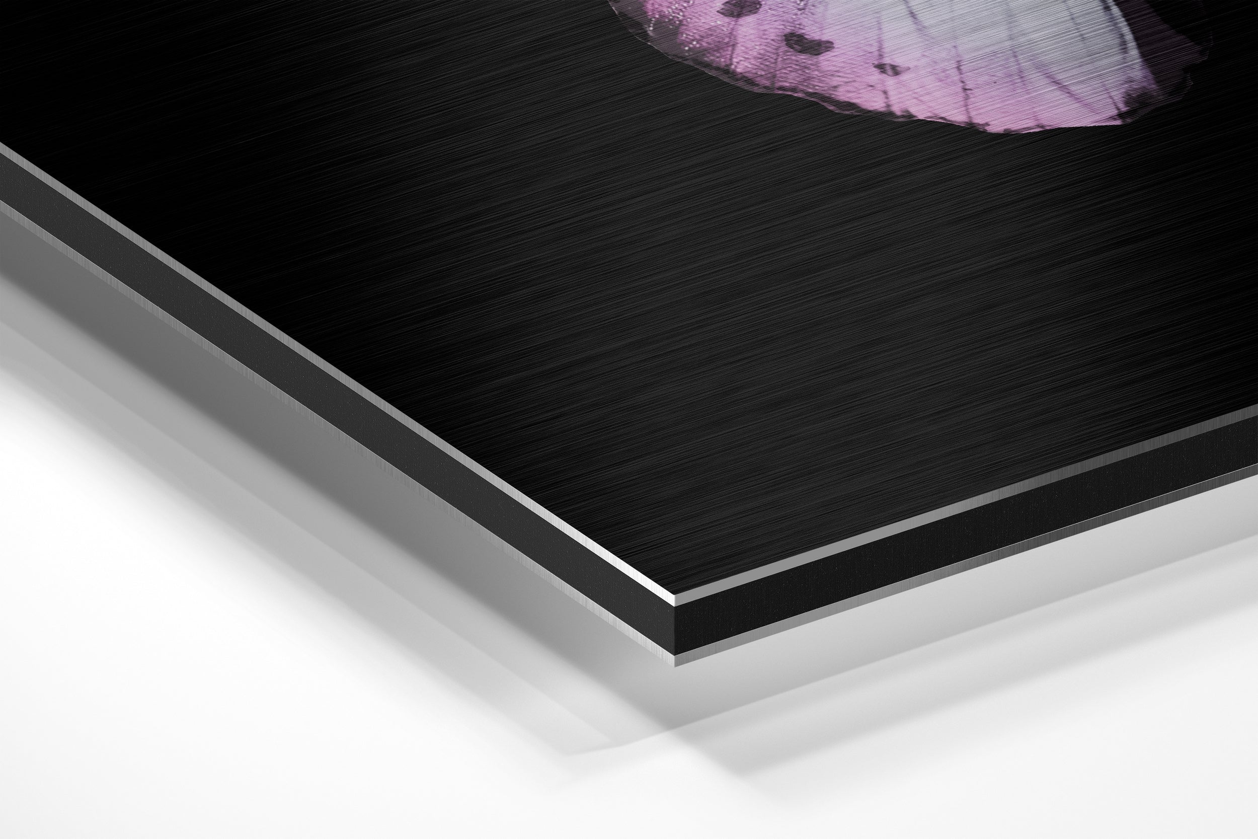 Butterfly Brushed Aluminium Dibond Wall Art