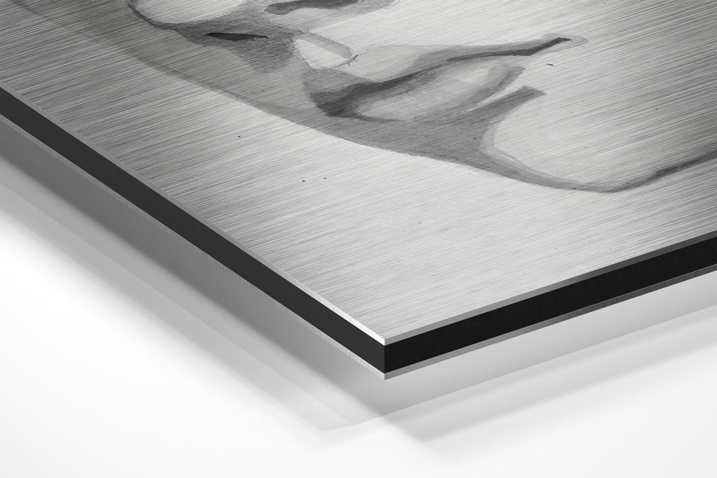 The Kid Brushed Aluminium Dibond Wall Art