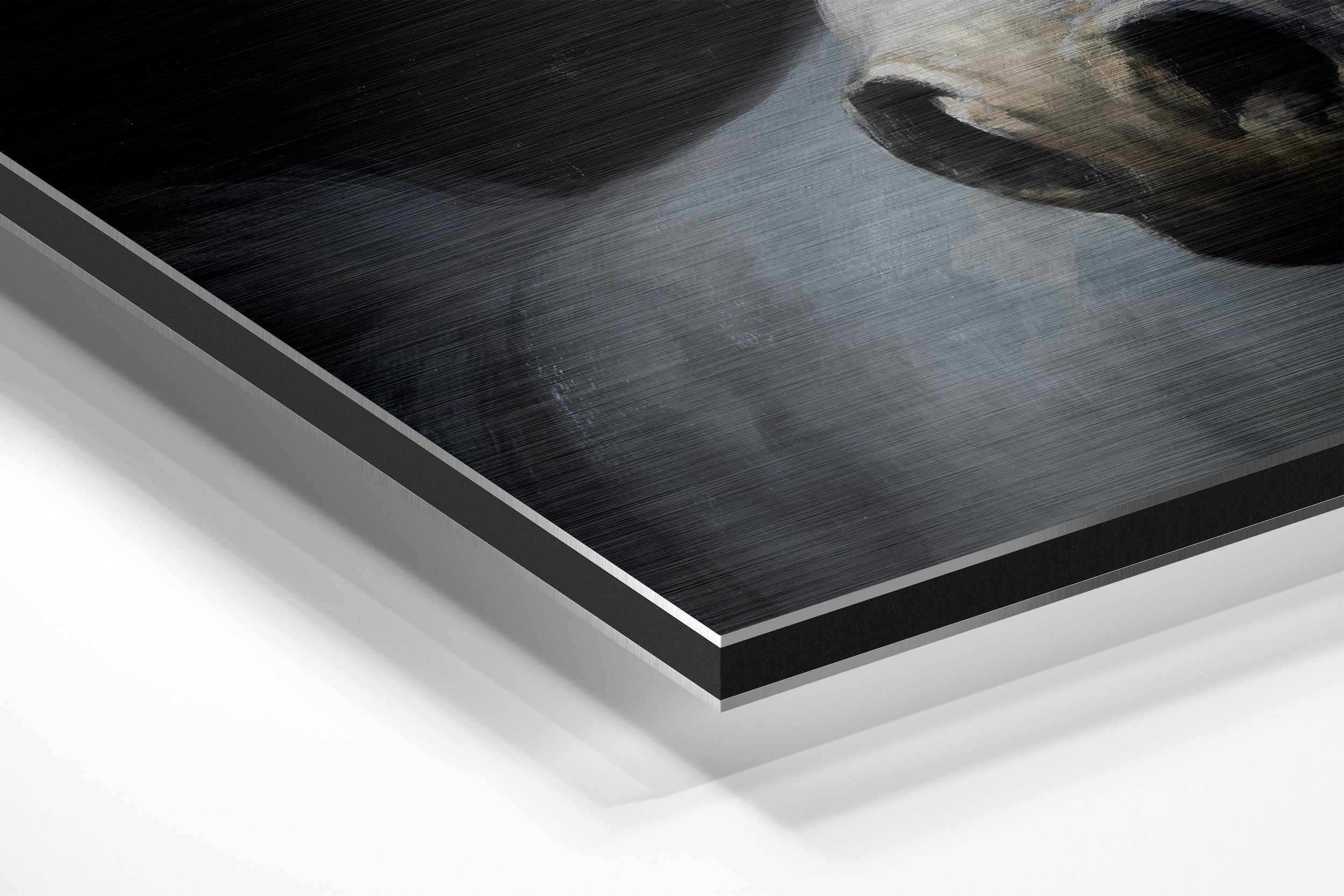 Horse Brushed Aluminium Dibond Wall Art