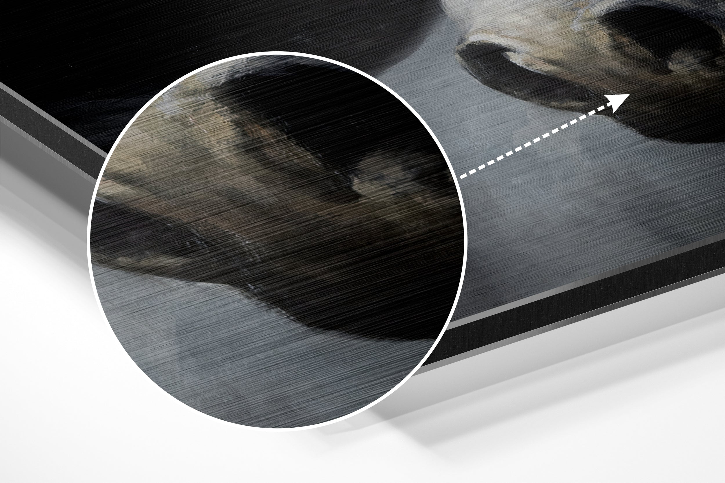Horse Brushed Aluminium Dibond Wall Art