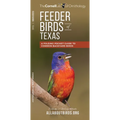 Feeder Birds of Texas: A Folding Pocket Guide to Common Backyard Birds - Paperback