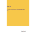 A Critical History of the Doctrine of a Future Life - Hardcover