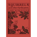 Squirrels and Other Fur-Bearers (Yesterday's Classics) - Paperback