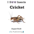 Cricket - Paperback