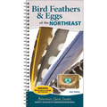 Bird Feathers & Eggs of the Northeast: Identify 40 Species of Common Backyard Birds - Spiral