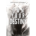Own Your Destiny - Paperback