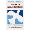 What Is Sanctification?: Understanding the Meaning of Entire Sanctification - Paperback
