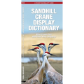 Sandhill Crane Display Dictionary, 2nd Ed: What Cranes Say with Their Body Language