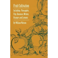 Fruit Cultivation - Including: Figs, Pineapples, Bananas, Melons, Oranges and Lemons - Paperback