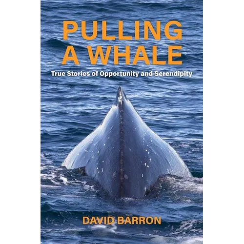 Pulling a Whale: True Stories of Opportunity and Serendipity - Paperback
