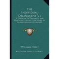 The Individual Delinquent V1: A Textbook Of Diagnosis And Prognosis For All Concerned In Understanding Offenders - Paperback