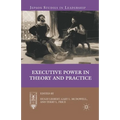 Executive Power in Theory and Practice - Paperback