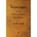 The Secret of Imagining - Paperback
