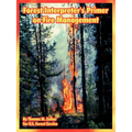 Forest Interpreter's Primer on Fire Management - Paperback