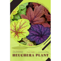 Heuchera Plant: Plant Guide - Paperback