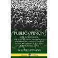 Public Opinion: How People Decide; The Role of News, Propaganda and Manufactured Consent in Modern Democracy and Political Elections (Hardcover) - Hardcover