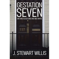 Gestation Seven: One Was Black and One Was White - Paperback