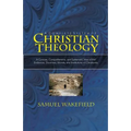 Christian Theology: A Concise, Comprehensive, and Systematic View of the Evidences, Doctrines, Morals, and Institutions of Christianity - Paperback