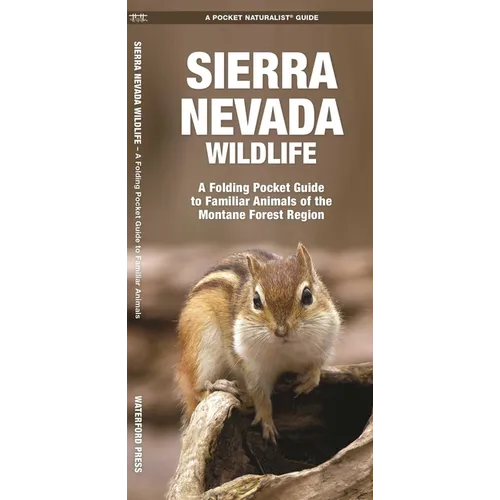 Sierra Nevada Wildlife: A Folding Pocket Guide to Familiar Animals of the Montane Forest Region