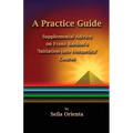 A Practice Guide: Supplemental Comments on Franz Bardon's Initiation into Hermetics Course - Paperback