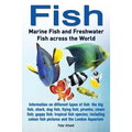 Fish: Marine Fish and Freshwater Fish Across the World: Information on Different Types of Fish: The Big Fish, Shark, Dog Fis - Paperback