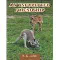 An Unexpected Friendship - Paperback
