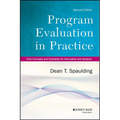 Program Evaluation in Practice - Paperback