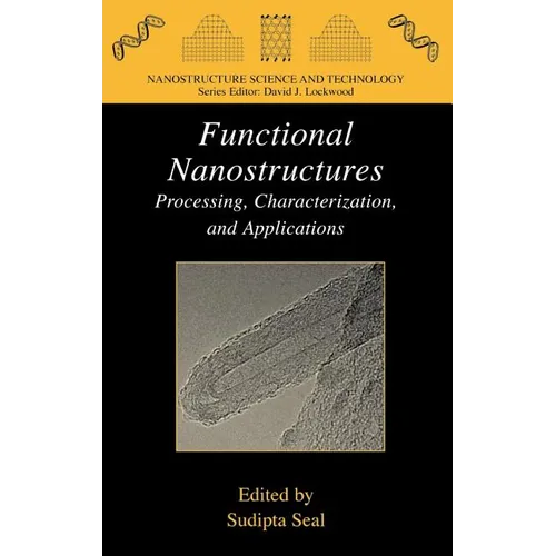 Functional Nanostructures: Processing, Characterization, and Applications - Hardcover