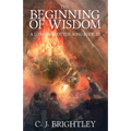 The Beginning of Wisdom - Paperback