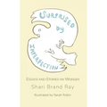 Surprised by Imperfection: Essays and Stories on Wonder - Hardcover
