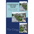 Companion to the Poor: Christ in the Urban Slums - Paperback