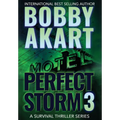 Perfect Storm 3: Post Apocalyptic Survival Thriller - Hardcover