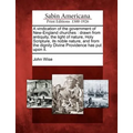 A Vindication of the Government of New-England Churches: Drawn from Antiquity, the Light of Nature, Holy Scripture, Its Noble Nature, and from the Dig - Paperback